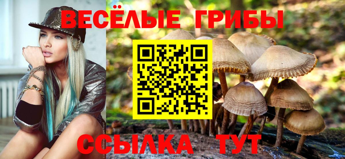 Галлюциногенные грибы Magic Shrooms  Вход с VPN  Самара  Псилоцибиновые грибы Psilocybe 